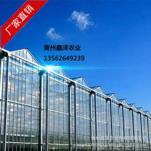 阳光连栋休闲观光温室玻璃农业养殖大棚 厂家定制玻璃温室大棚