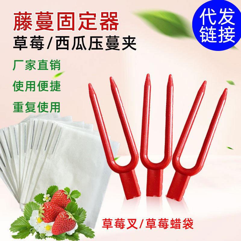 发草莓种植叉，园艺压蔓器，草莓压蔓器，藤蔓固定叉，草莓袋子
