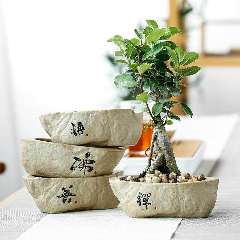 创意复古风无孔有孔植物花盆粗陶铜钱草绿萝花器手写陶瓷多肉花盆