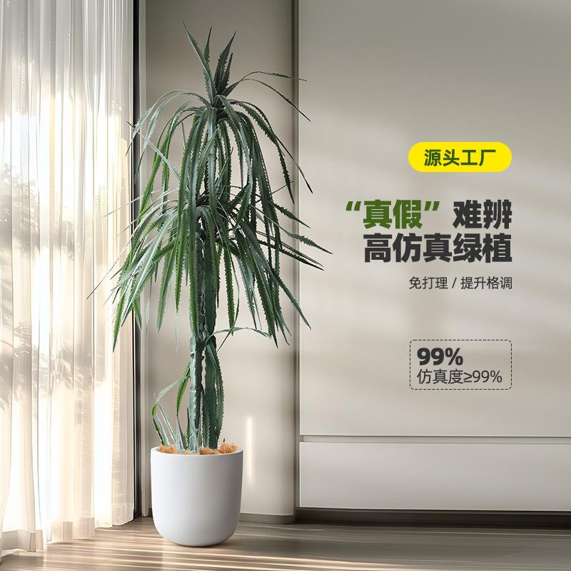 龙血树仿真绿植室内沙漠造景装饰软胶多头龙舌兰龙须树假植物盆栽