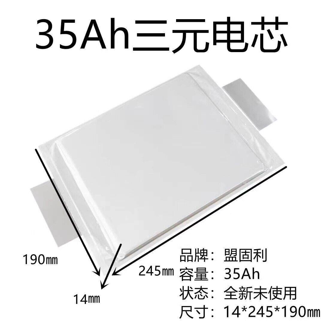 三元锂电池大容量120A35A40A实标电动电瓶动力聚合物电池25A-68Ah - 实物图