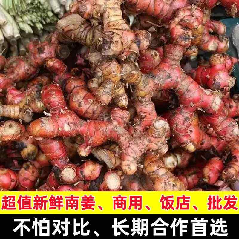 南姜新鲜山姜头商用红皮白皮姜潮汕老南姜卤味火锅去腥提味料