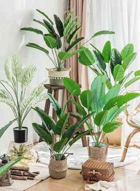 北欧客厅仿真绿色植物绿植装饰假花天堂鸟ins小盆栽摆件创意家严