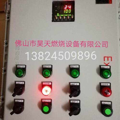 IES 258-5/W 施能 烧嘴点火器IFS258-5/W自动点火控制箱 配电柜