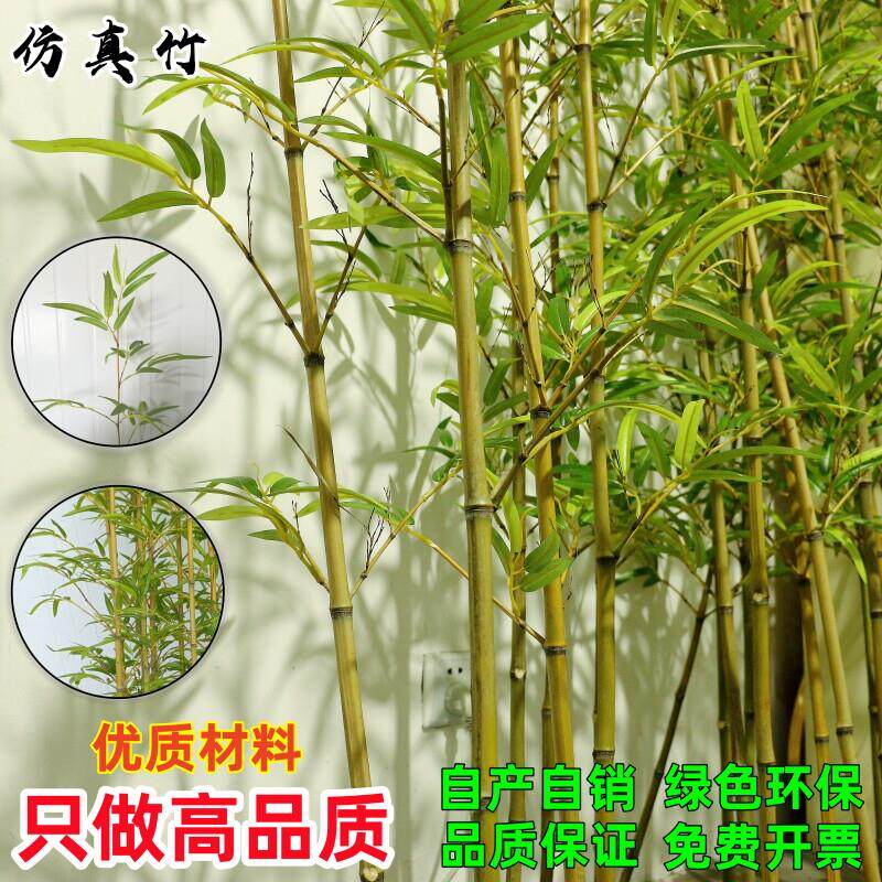 彷真竹子造景彷生假竹子彷真植物室内外装饰隔断遮挡墙盆栽假绿植