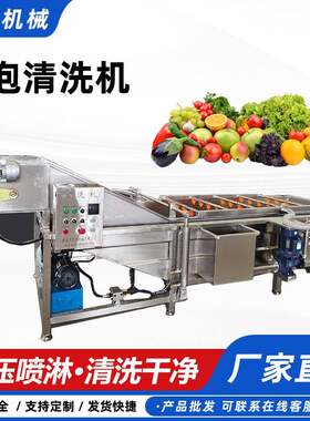 果蔬气泡清洗机西蓝花白菜高压喷淋洗菜机沃柑橙子气泡清洗机