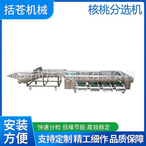核桃分选机水洗分级果蔬分级机不锈钢滚杠式分拣设备厂家直销