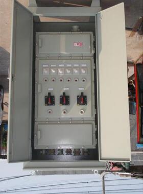 防爆电柜BSG99 防爆配电柜 防爆照明配电柜 开关柜ZXF8044