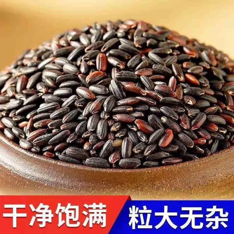 五常糯米官方旗舰店大米新米东北包粽子专用黑糯米紫米血糯米正宗