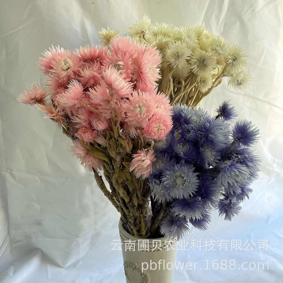 花者批发民宿装饰插花岩石花【旱雪莲】干花花束 材料包DIY花材