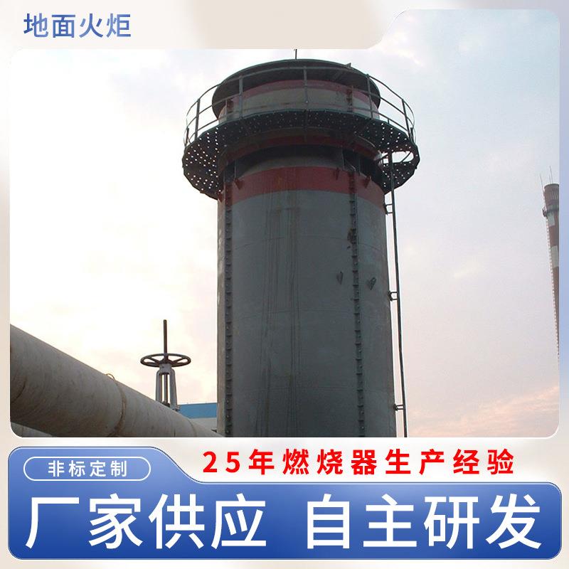 垃圾厂手动火炬燃烧火炬沼气火炬废气处理设备沼气地面火炬定制