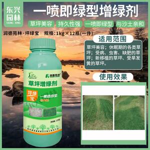 润德坪绿宝草坪增绿剂草皮枯草染绿剂植物染色剂一喷就绿不伤草