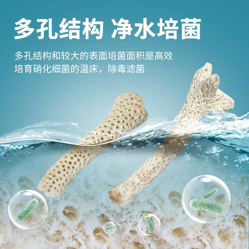 鱼缸滤材天然珊瑚石过滤培菌材料水族箱底砂造景平衡ph值