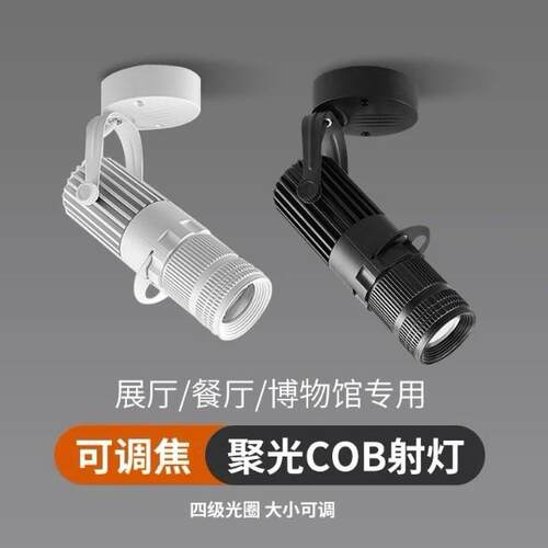 展厅专用商用护眼射灯博物馆字画美术舞台餐饮轨道照画灯吸顶灯灯