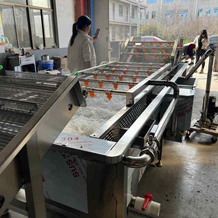 大型苹果梨子柑橘清洗风干设备枸杞气泡清洗机橙子果蔬清洗机