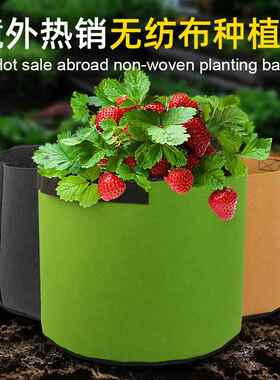 跨境美植袋控根植树袋种植袋驼色绿色无纺布花袋营养植物袋袋花盆