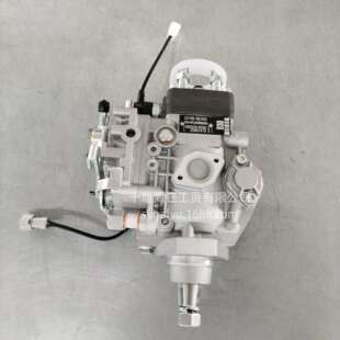 10F2200RNP009221005B301 套件燃油VE泵VE4 096500 0090改装