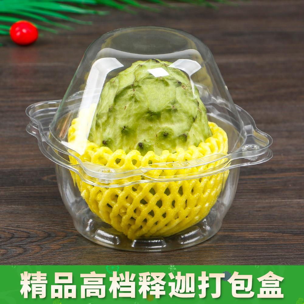 一次性释迦包装盒水果打包盒子火龙果透明塑料盒单个装加厚1斤