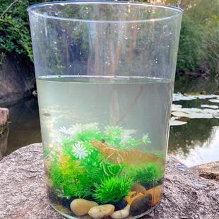 养鱼水箱家用圆桶储水塑料桶透明大蓄水桶圆形加厚观赏造景养殖用