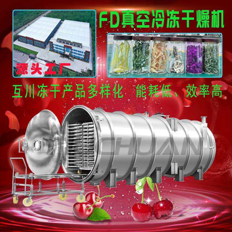 鹿血蚯蚓真空冻干机 中药材粉剂低温冷冻干燥机 多用途真空冻干