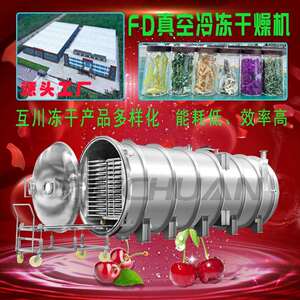 鹿血蚯蚓真空冻干机中药材粉剂低温冷冻干燥机多用途真空冻干