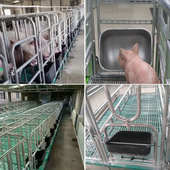 不锈钢母猪食槽下料槽采食槽饲料槽钢板母猪食槽料槽大猪补料槽