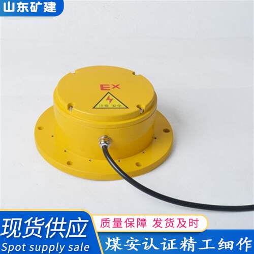 销售圆形溜槽堵塞开关 DS-I-II LDM-GL堵料堵煤 防堵开关检测器