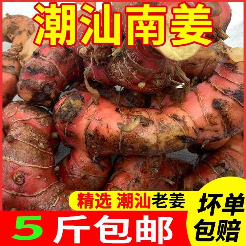 潮汕新鲜南姜5斤装 餐饮卤鹅猪脚饭卤菜牛羊肉火锅去膻提鲜调料品