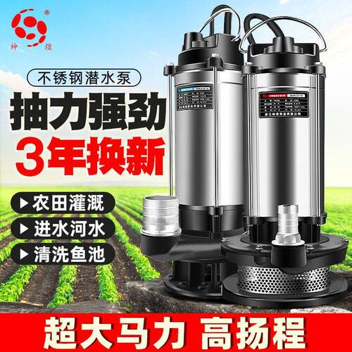 高扬尘抽水泵户外鱼池换水清洗排污泵不锈钢两相电造景一寸潜水泵