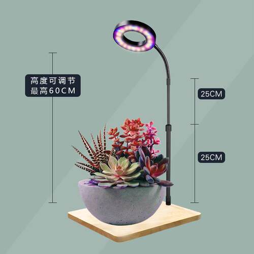 全光谱LE灯D植物补光灯生长灯苔藓灯微景观竹灯生态瓶灯多肉板灯