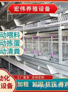 新式鸡笼热镀锌蛋鸡养殖笼多层立体养鸡设备全套养殖机械