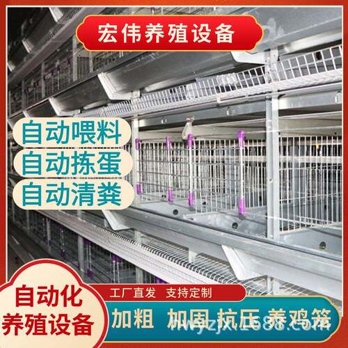 新式鸡笼热镀锌蛋鸡养殖笼多层立体养鸡设备全套养殖机械