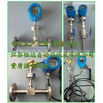 热式气体质量流量计 氧气/氮气/氩气/天然气有SIL证和防爆证CT4