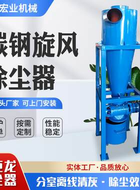 旋风分离器物料输送分离器沙克龙锅炉防爆粉尘收集碳钢旋风除尘器