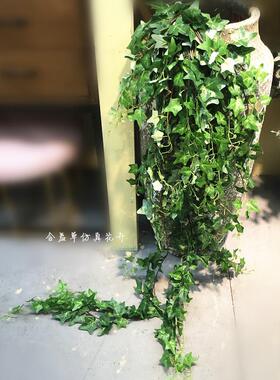 仿真常春藤壁挂地瓜叶加长把束爬藤仿真绿植装饰缠绕藤蔓绿色挂壁