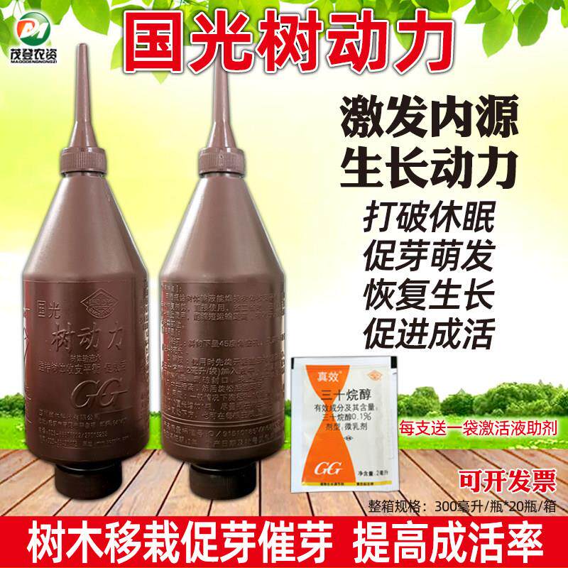 国光大树营养液树动力催芽液移栽促发芽促成活吊针液大树插瓶催叶