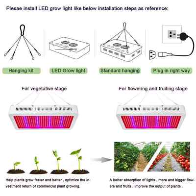 双控定时QER育6生00W LED植物长灯 食虫草花卉多蔬菜苗组培肉补光