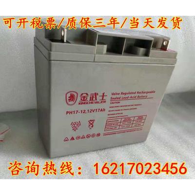 金武士UPS蓄电池PV12V100AH/65AH PW24-12/38-12 PH17-12V150AH