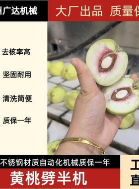 沧州广达机械黄桃劈瓣机自动化产量桃子劈半机厂家直销