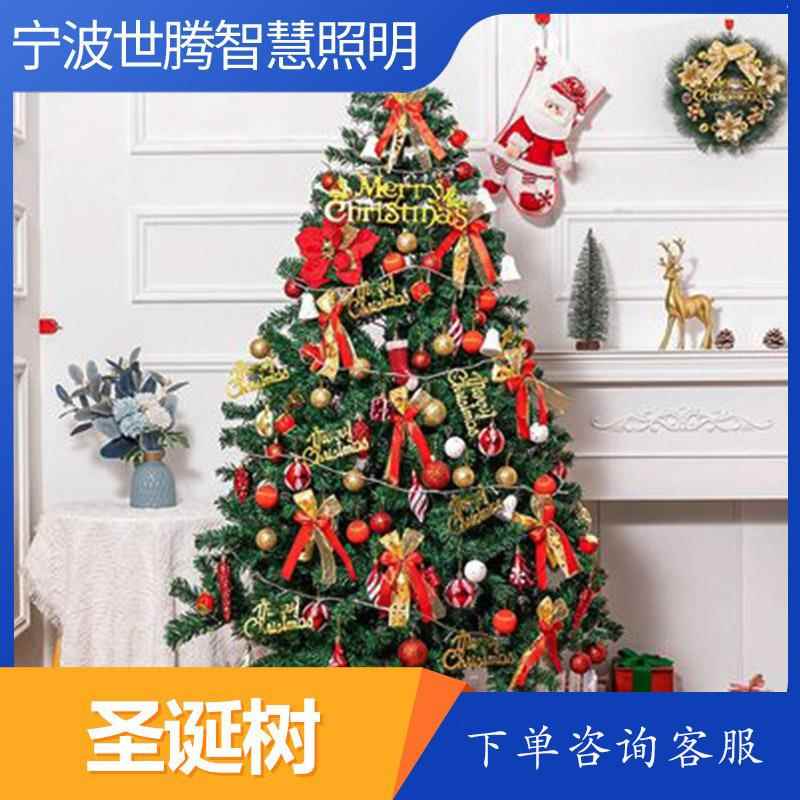 圣诞树家用加密套餐发光1.5米1.8米3米diy大型豪华圣诞节装饰摆件