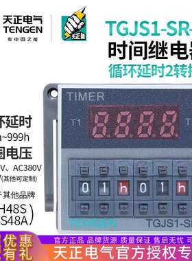 天正 TGJS1-SR-2Z循环时间继电器DH48S-S-2Z JSS48A-S-2Z数显220v
