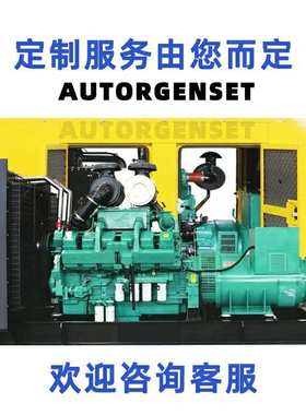 cummins power 200kw康明斯发电机generator set emergency power