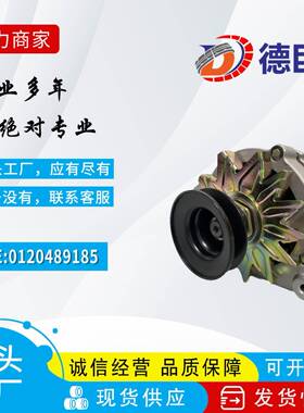 汽车发电机适用大众普桑发电机奥迪发电机026903015A 0120489185
