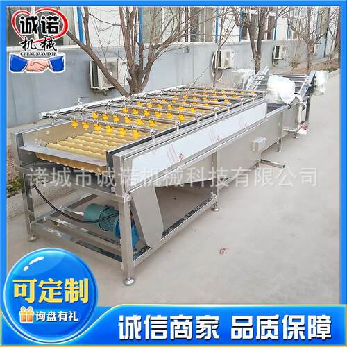 食品毛辊清洗机土豆宝塔菜清洗去皮机生蚝扇贝莲藕毛刷清洗去泥机