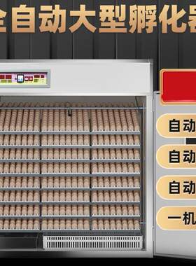 农场孵小鸡自动种蛋鸭鸽子机器控温鸵鸟蛋孵蛋器鸟类孵化机翻蛋的