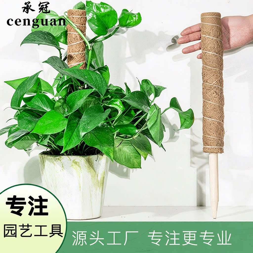 严选植物藤蔓牵引园艺用品套装