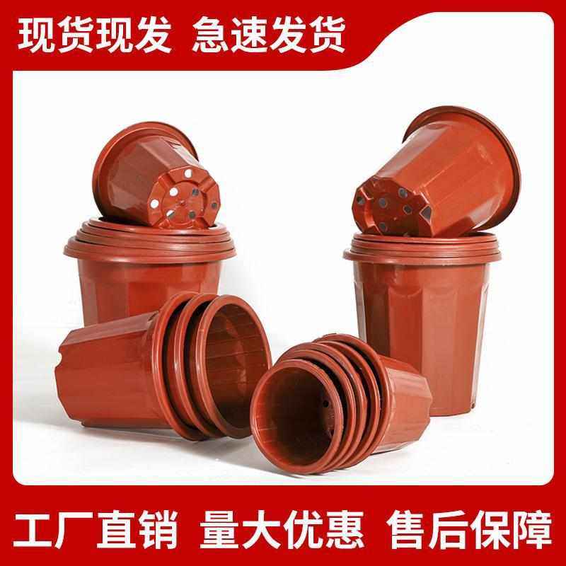 塑料花盆E型角盆基地种植红色月季花盆处理育苗盆,鲜花速递/花卉仿真/绿植园艺,花盆,淘宝优惠券,粉丝福利购,淘宝优惠卷