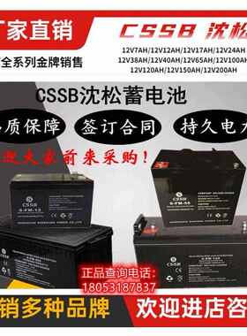 CSSB沈松蓄电池6FM12V4.5/7/9/12/17/24/38/65/100/120/150/200AH