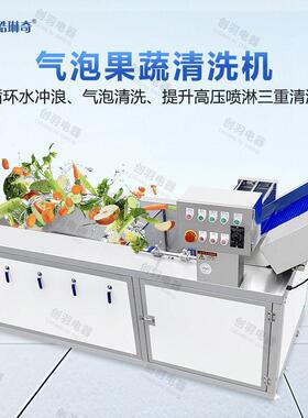 蒲公英气泡清洗机粽叶鼓泡翻浪机水果蔬菜花生清洗洗泥机