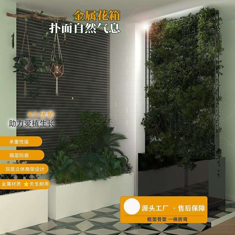爬藤架花箱金属不锈钢花盆室外隔断花箱铁线园艺花架植物支撑网架图片
